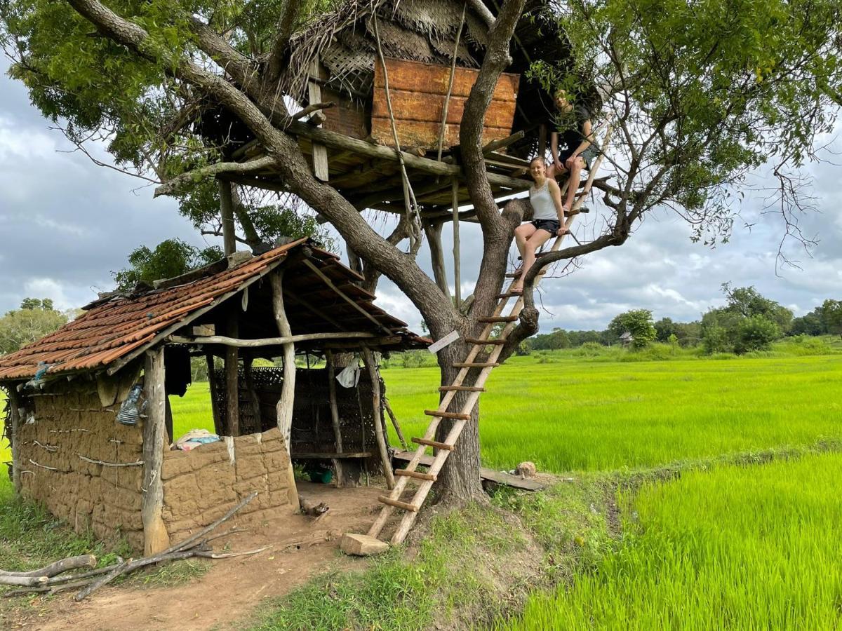 Thilina Homestay Sigirija Zewnętrze zdjęcie